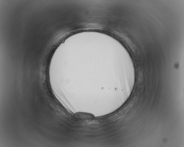 X0000116881407201001191734