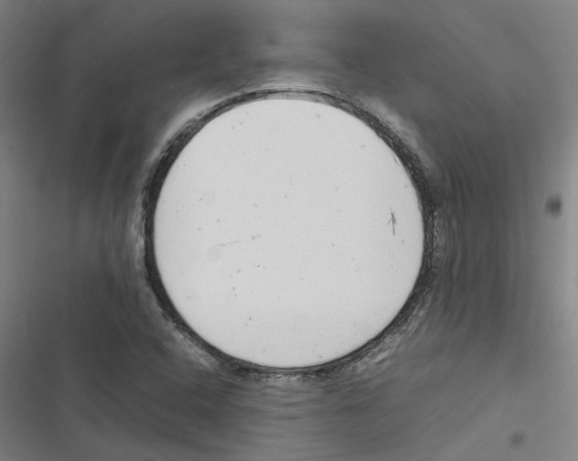 X0000116881408201001191734
