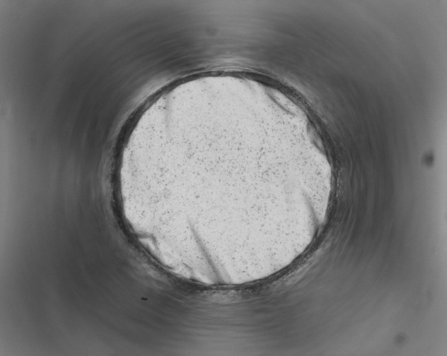 X0000116881410201001191734