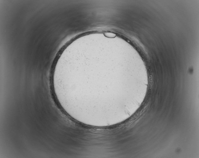 X0000116881412201001191734
