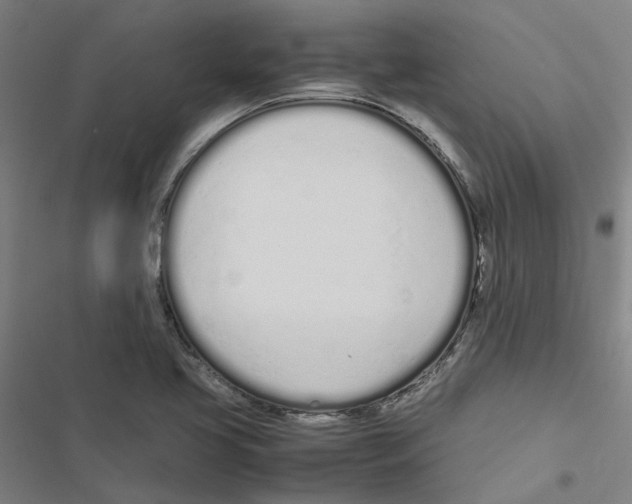 X0000116881413201001191734