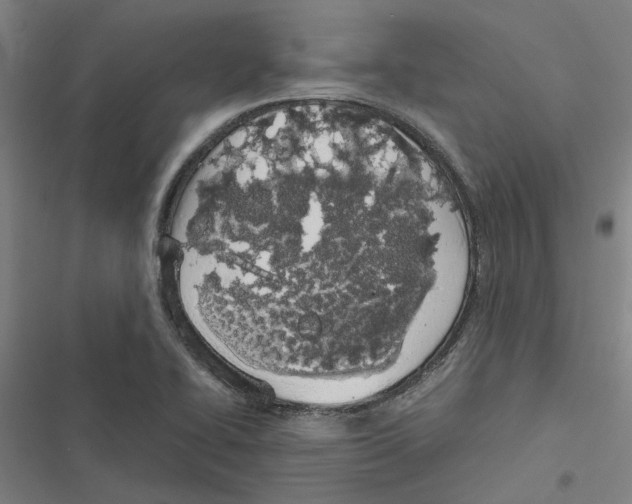 X0000116881414201001191734