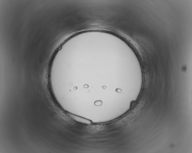 X0000116881415201001191734