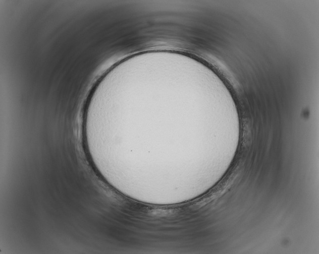 X0000116881419201001191734