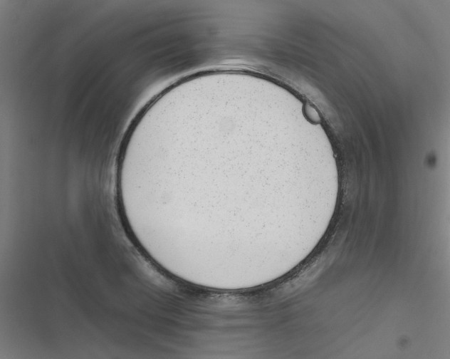 X0000116881420201001191734