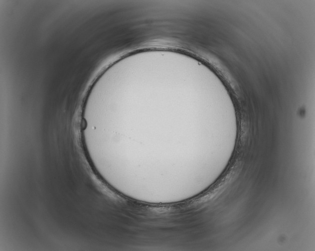 X0000116881421201001191734