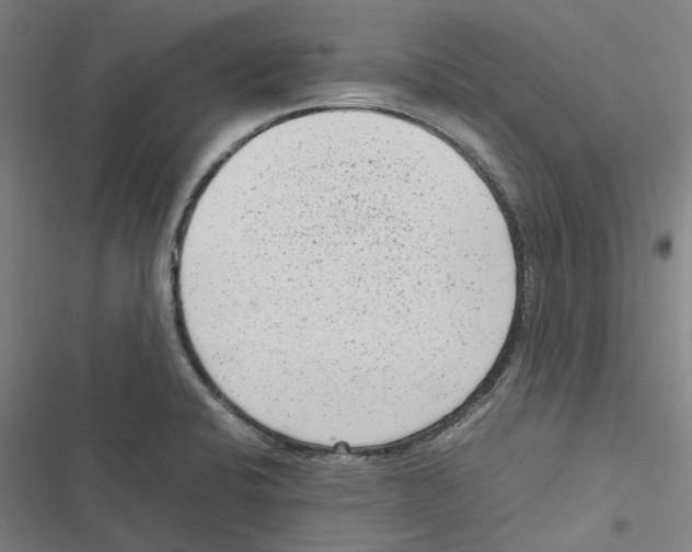 X0000116881424201001191734