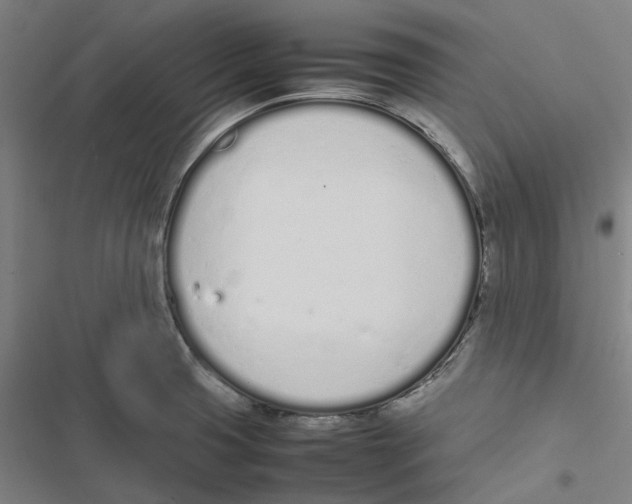 X0000116881425201001191734