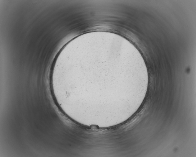 X0000116881426201001191734