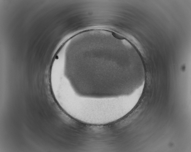 X0000116881428201001191734