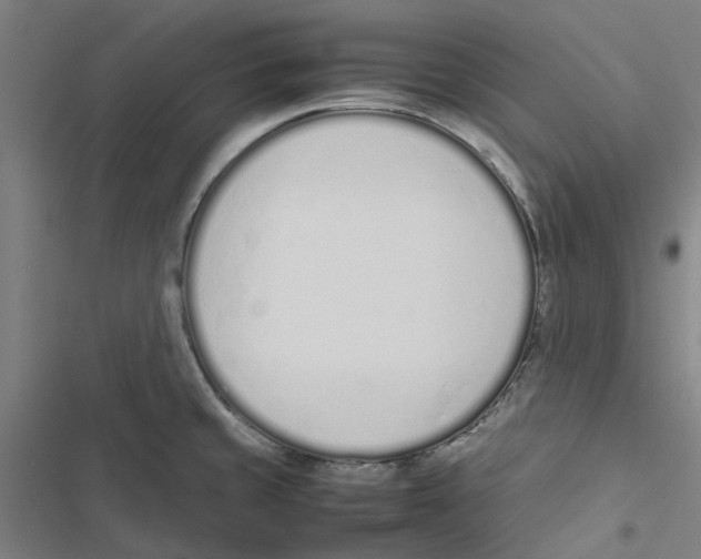 X0000116881429201001191734