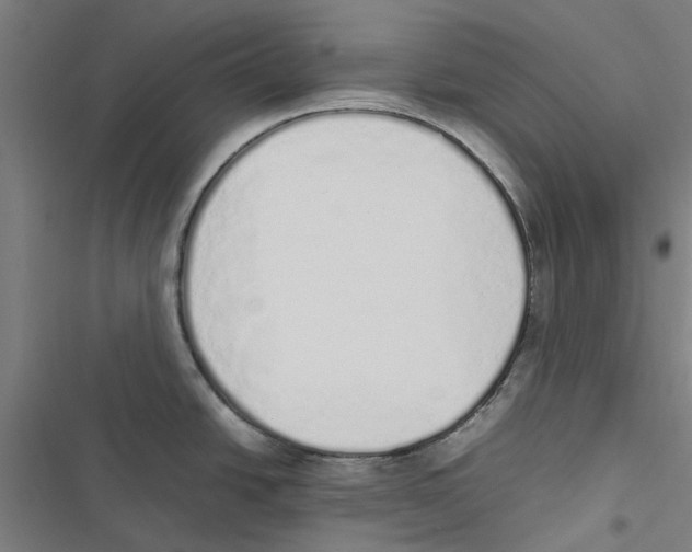 X0000116881438201001191735