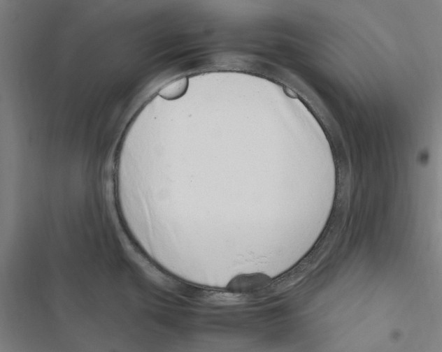 X0000116881439201001191735