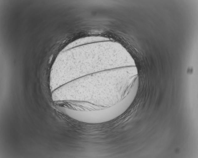 X0000116881441201001191734