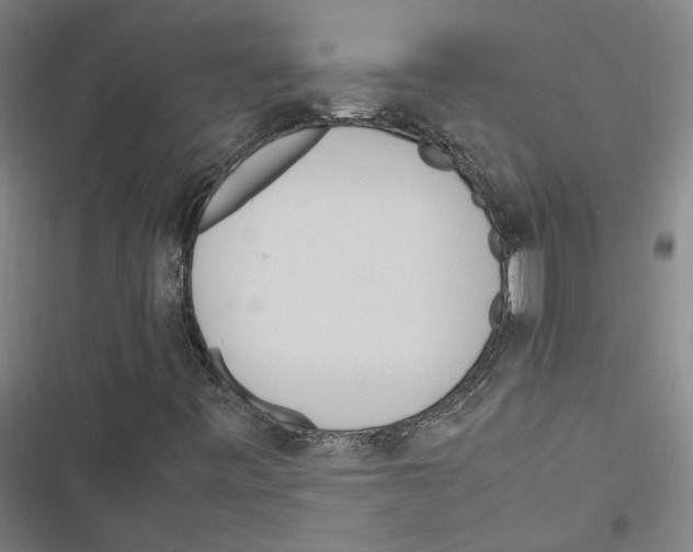 X0000116881443201001191734
