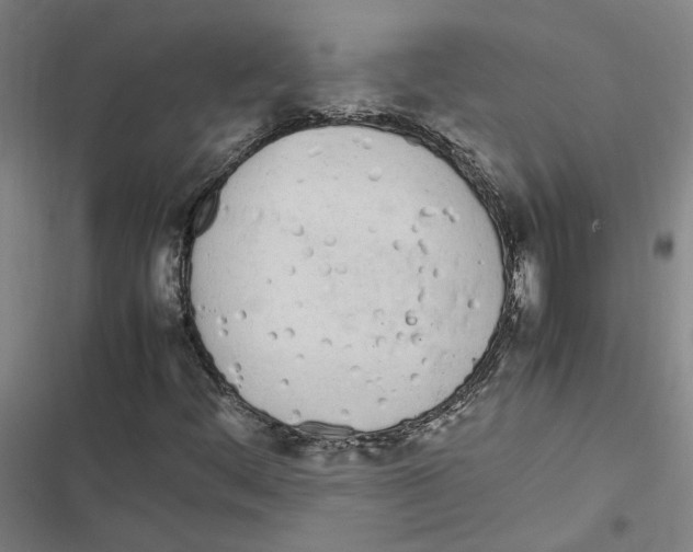 X0000116881444201001191734
