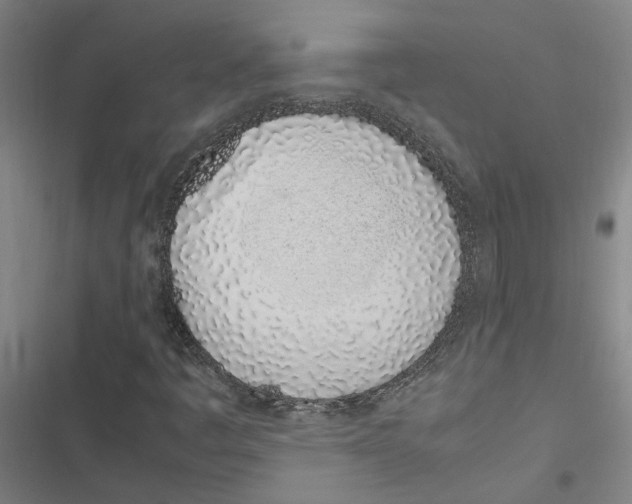 X0000116881445201001191734