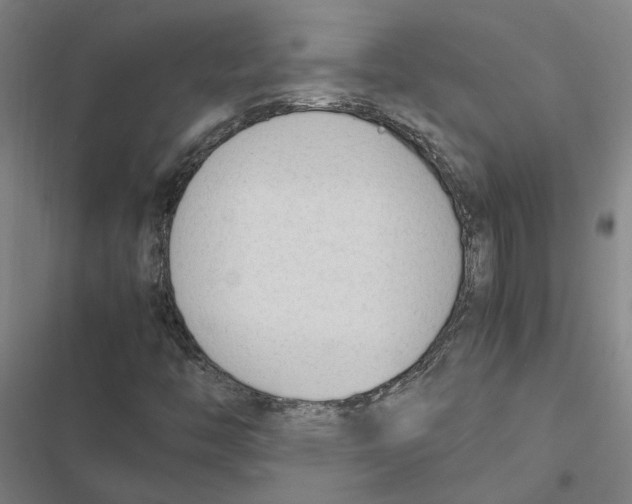 X0000116881446201001191734