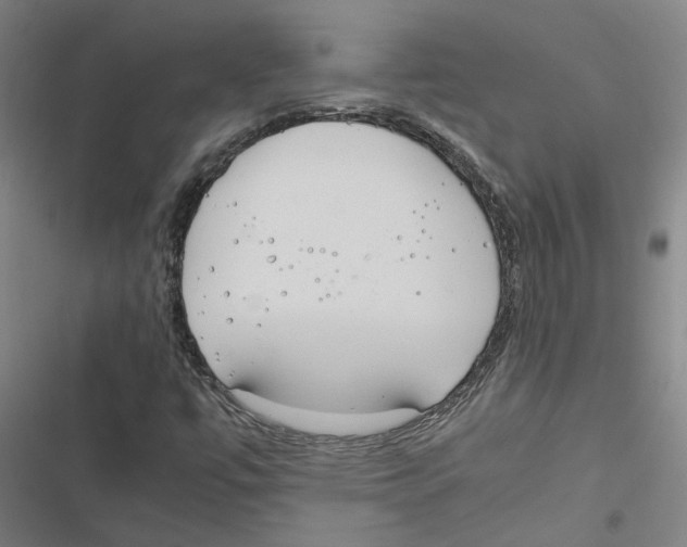 X0000116881447201001191734