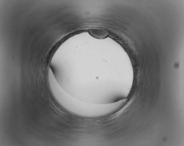 X0000116881449201001191734