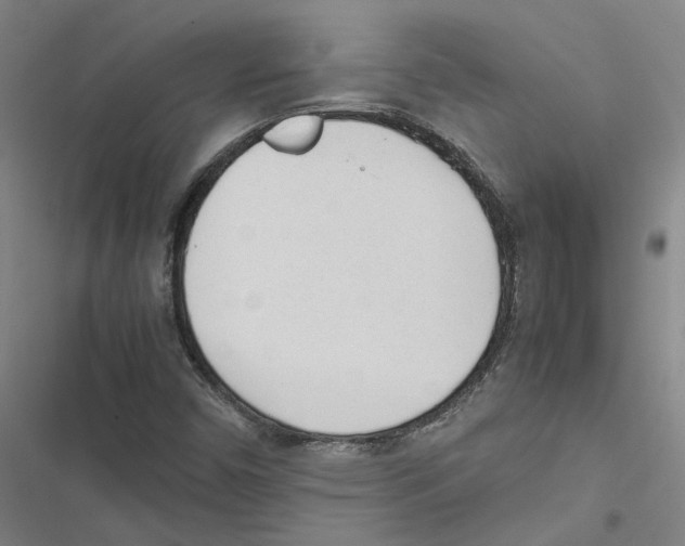 X0000116881450201001191734