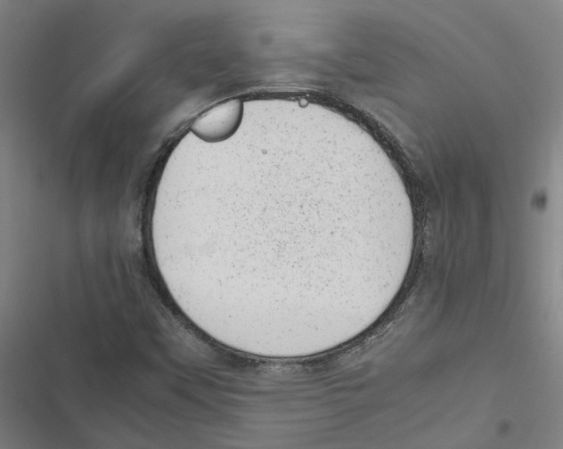 X0000116881451201001191734