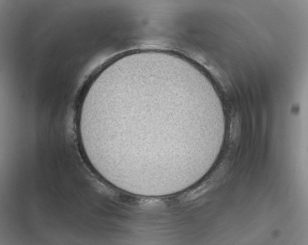 X0000116881454201001191734