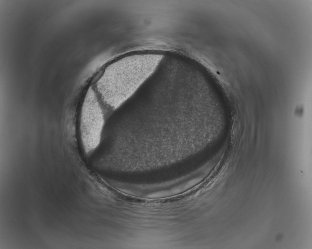 X0000116881455201001191734