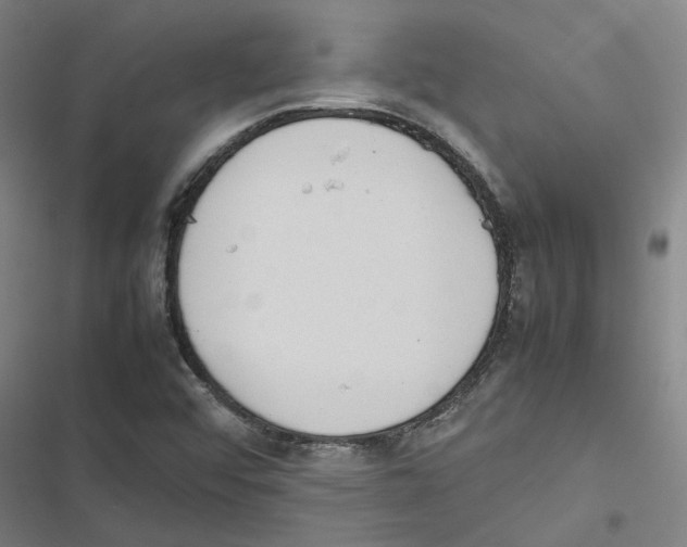 X0000116881456201001191734