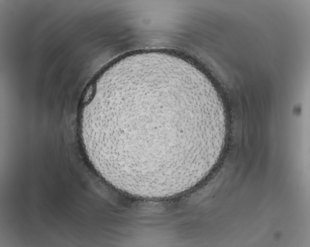 X0000116881457201001191734