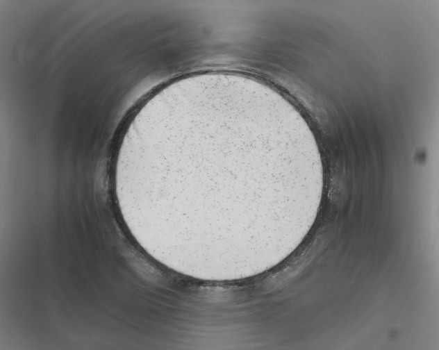 X0000116881458201001191734