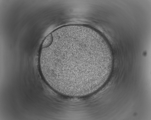 X0000116881459201001191734