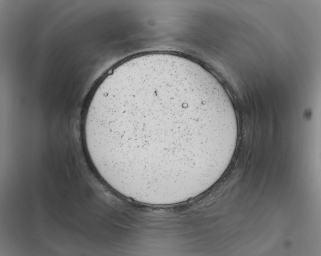 X0000116881460201001191734