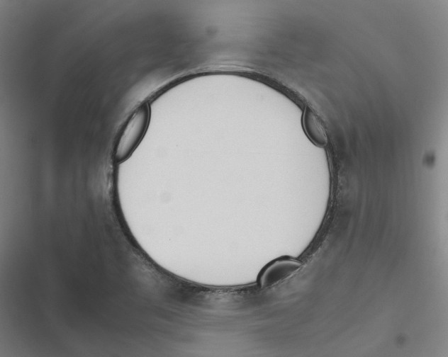 X0000116881461201001191734
