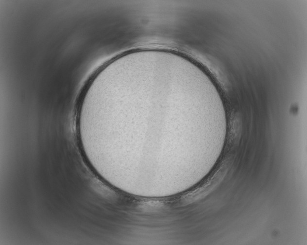 X0000116881462201001191734