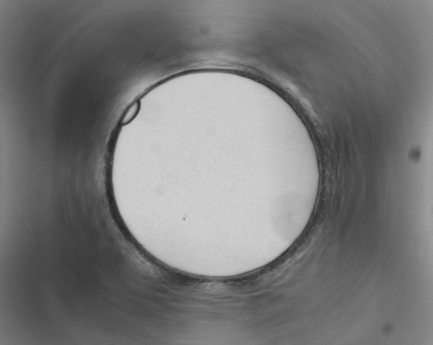 X0000116881463201001191734
