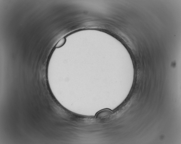 X0000116881465201001191734