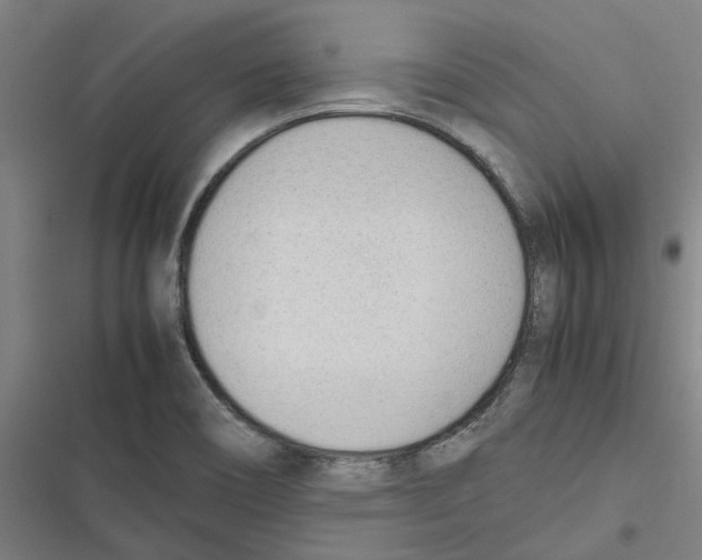 X0000116881466201001191734