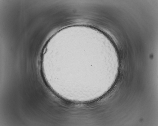 X0000116881467201001191734