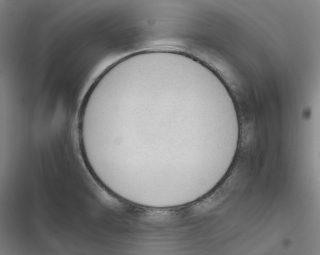 X0000116881470201001191734
