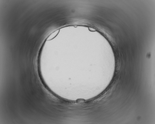 X0000116881471201001191733
