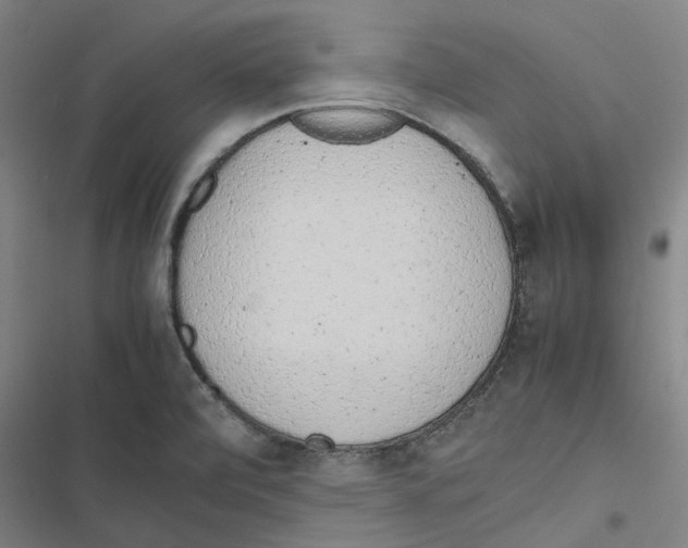 X0000116881472201001191733