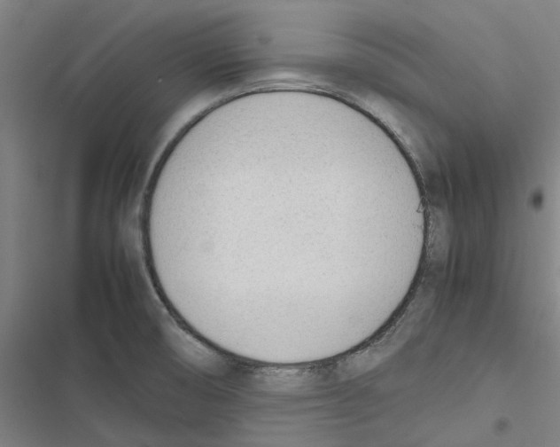 X0000116881474201001191733