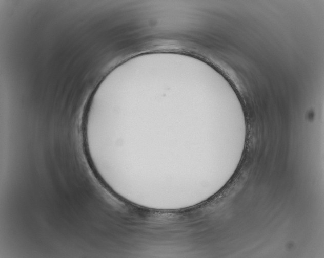 X0000116881475201001191733