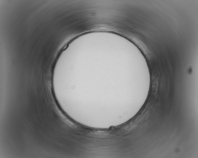 X0000116881476201001191733