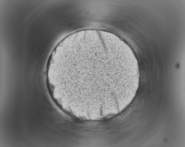 X0000116881479201001191733