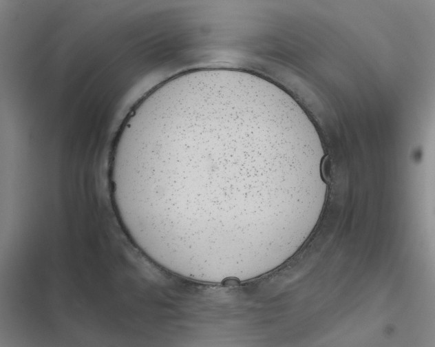 X0000116881480201001191733
