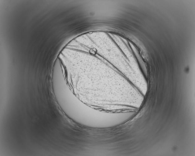 X0000116881481201001191733