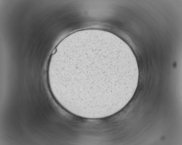 X0000116881483201001191733