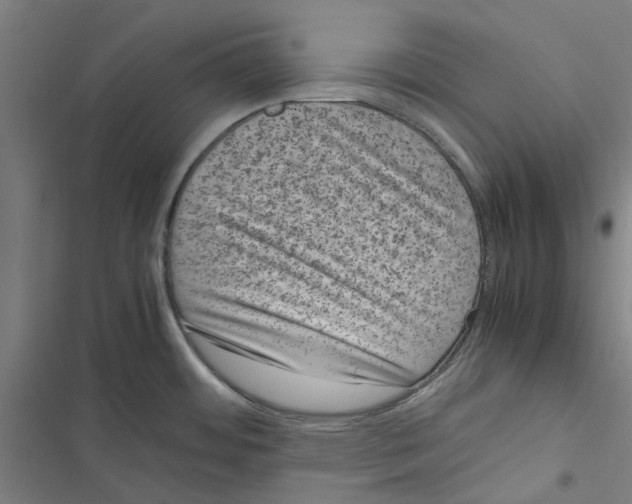 X0000116881484201001191733